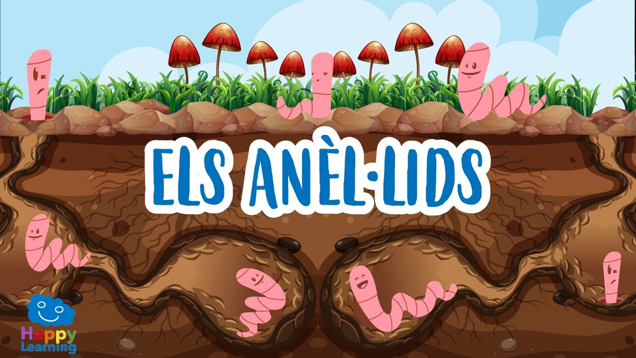 Els anèl·lids | Vídeos educatius per a nens en llengua catalana