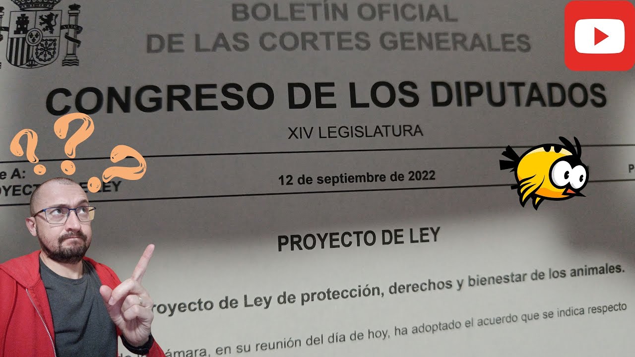 Ley de protección y bienestar animal ¿En que me afecta?