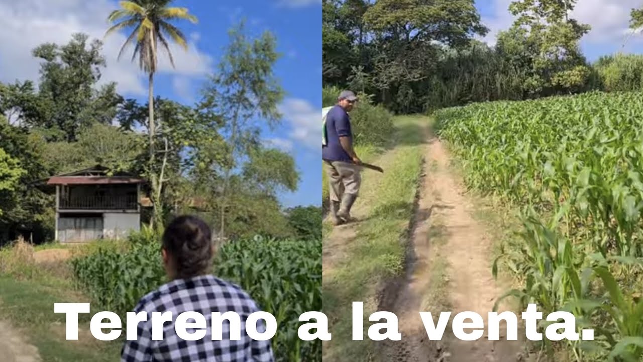 se vende hermoso  terreno a precio negociable con casa  y un río al lado para cultivar. a 50000Qtz