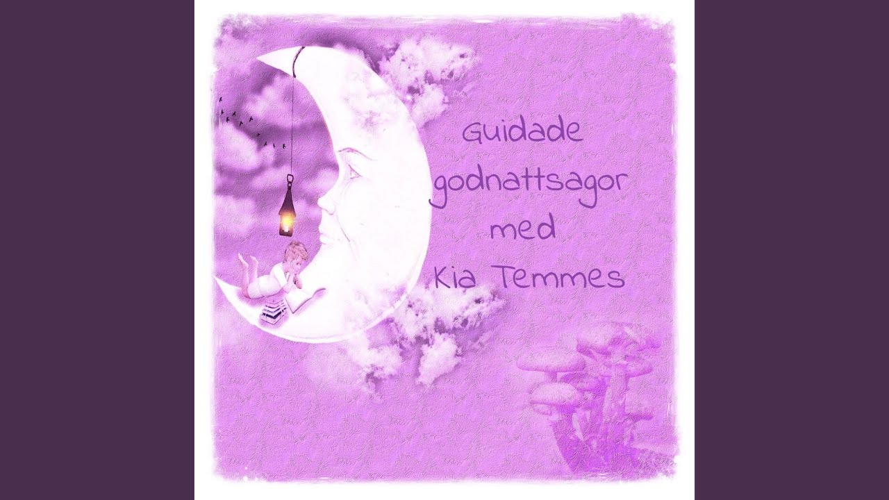 Tomten, tomtan och papparkakorna, en guidad godnattsaga