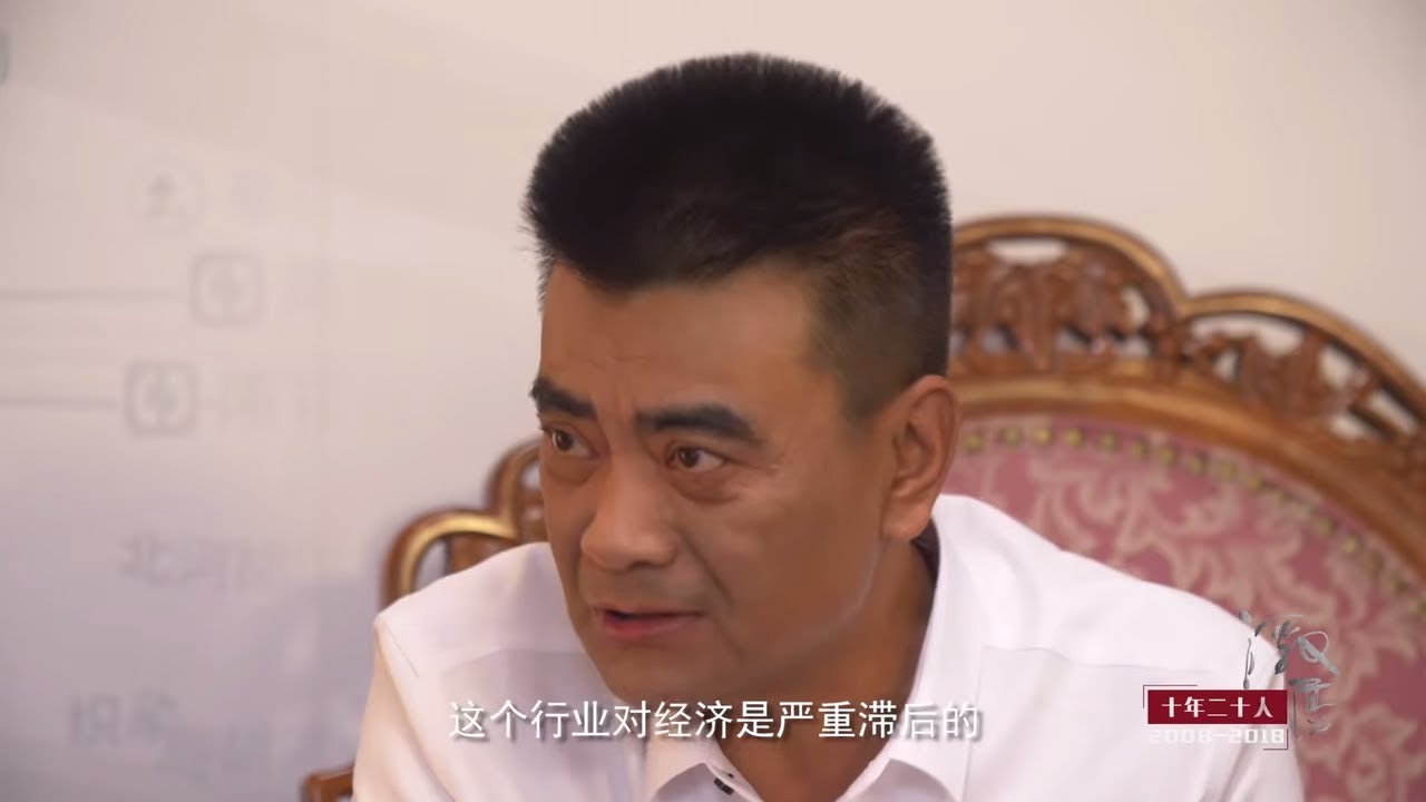 吴晓波专访阳光保险董事长    张维功     《十年二十人》