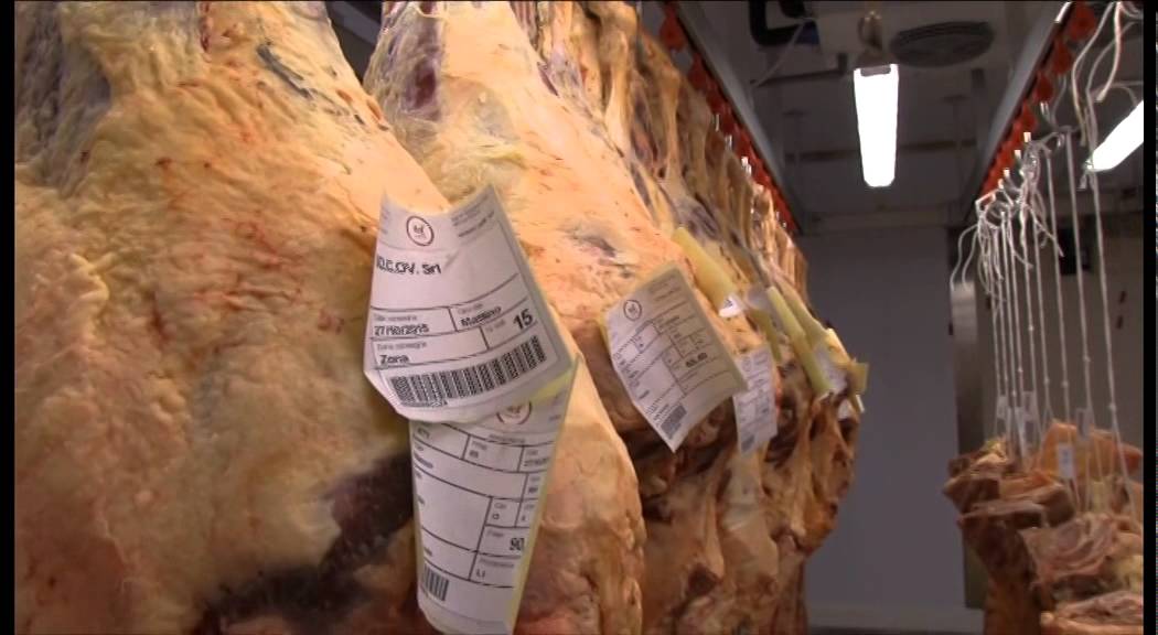 I Servizi Veterinari dei Dipartimenti di Prevenzione delle Asl
