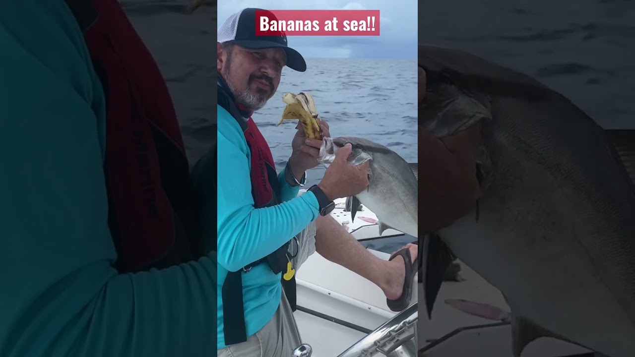 Eating bananas at sea catch fish!!