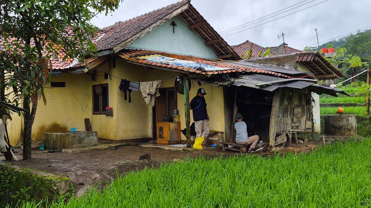 SUASANA HUJAN DI PEDESAAN, NIKMATNYA NGALIWET DI RUMAH TENGAH SAWAH