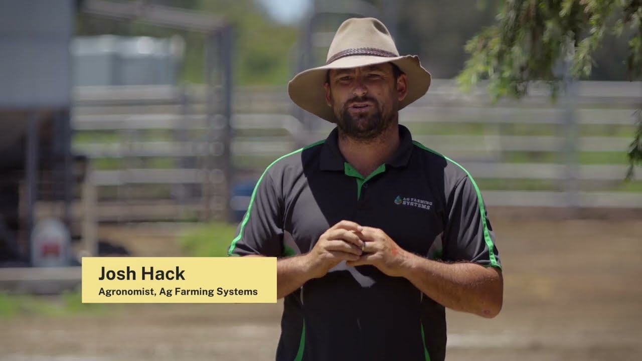 Nicholson dairy farm flood recovery