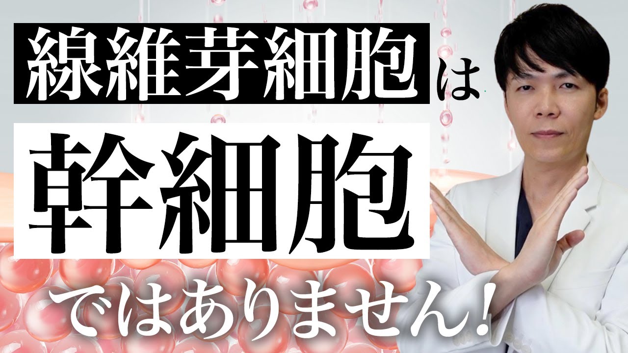 【注意】間違っている人が多い！線維芽細胞と幹細胞の違い【再生医療】