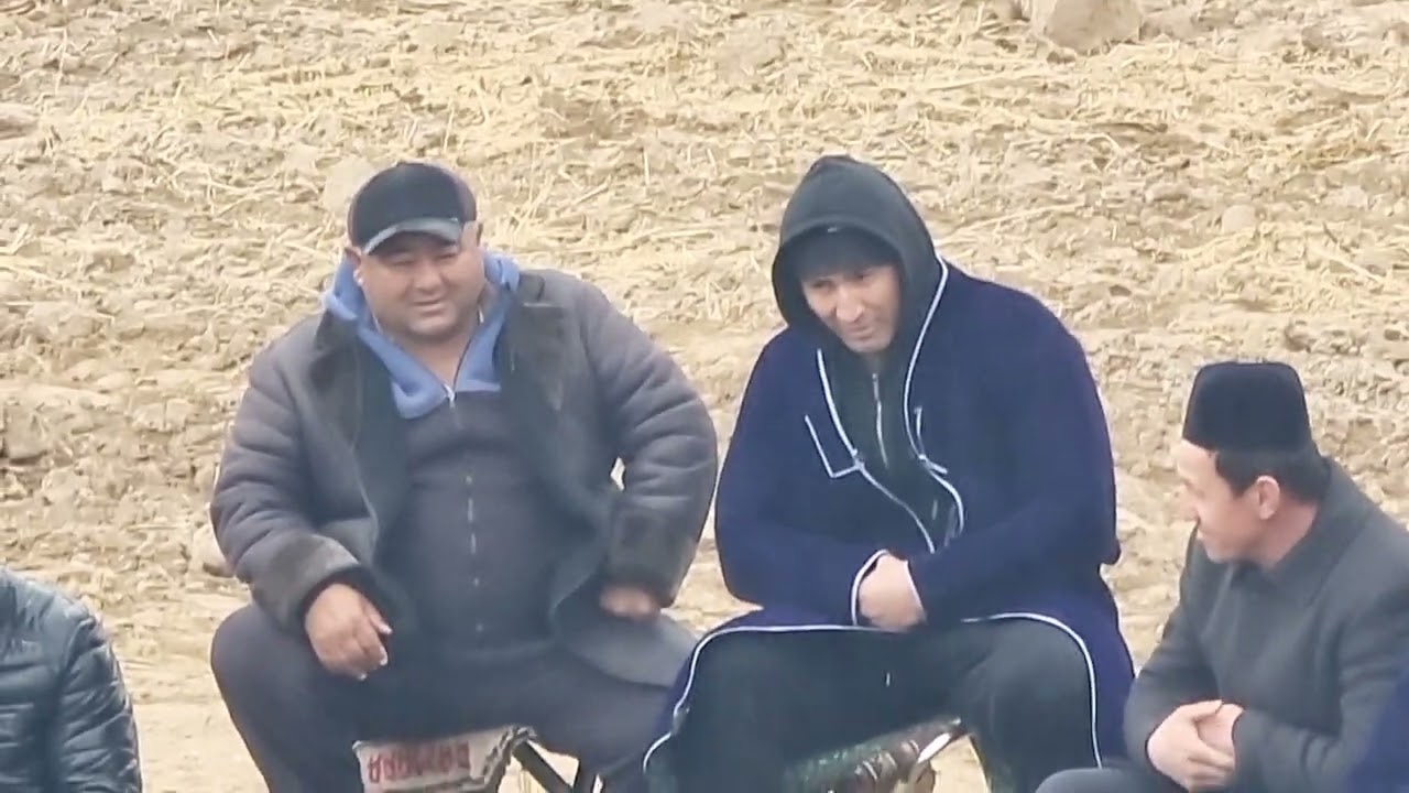 САМАРКАНДВИЛОЯТИ  УРГУТДА КУРАШДА БАРЧА ТОВОКЛАР 24.02.22