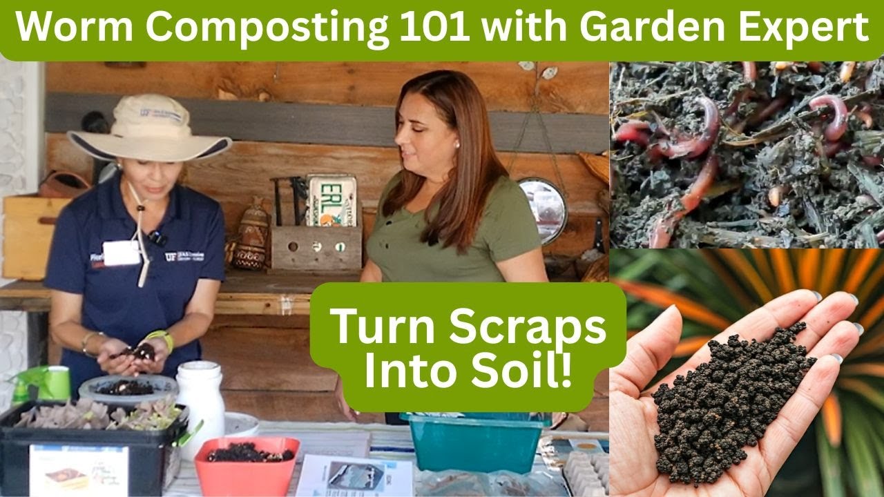 How to Start a Worm Compost Bin at Home | Master Gardener Program Tips & Info