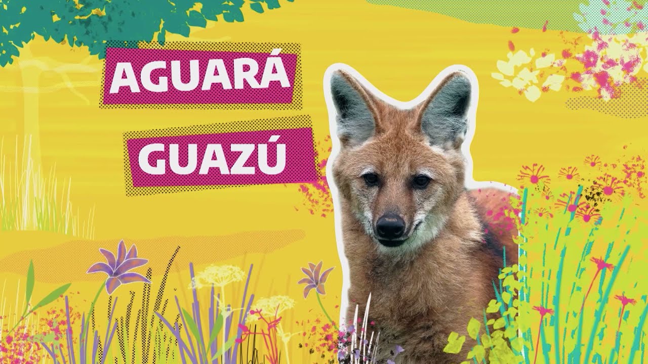 #FaunaNativa | Ep. 8 - Aguar&aacute; guaz&uacute;