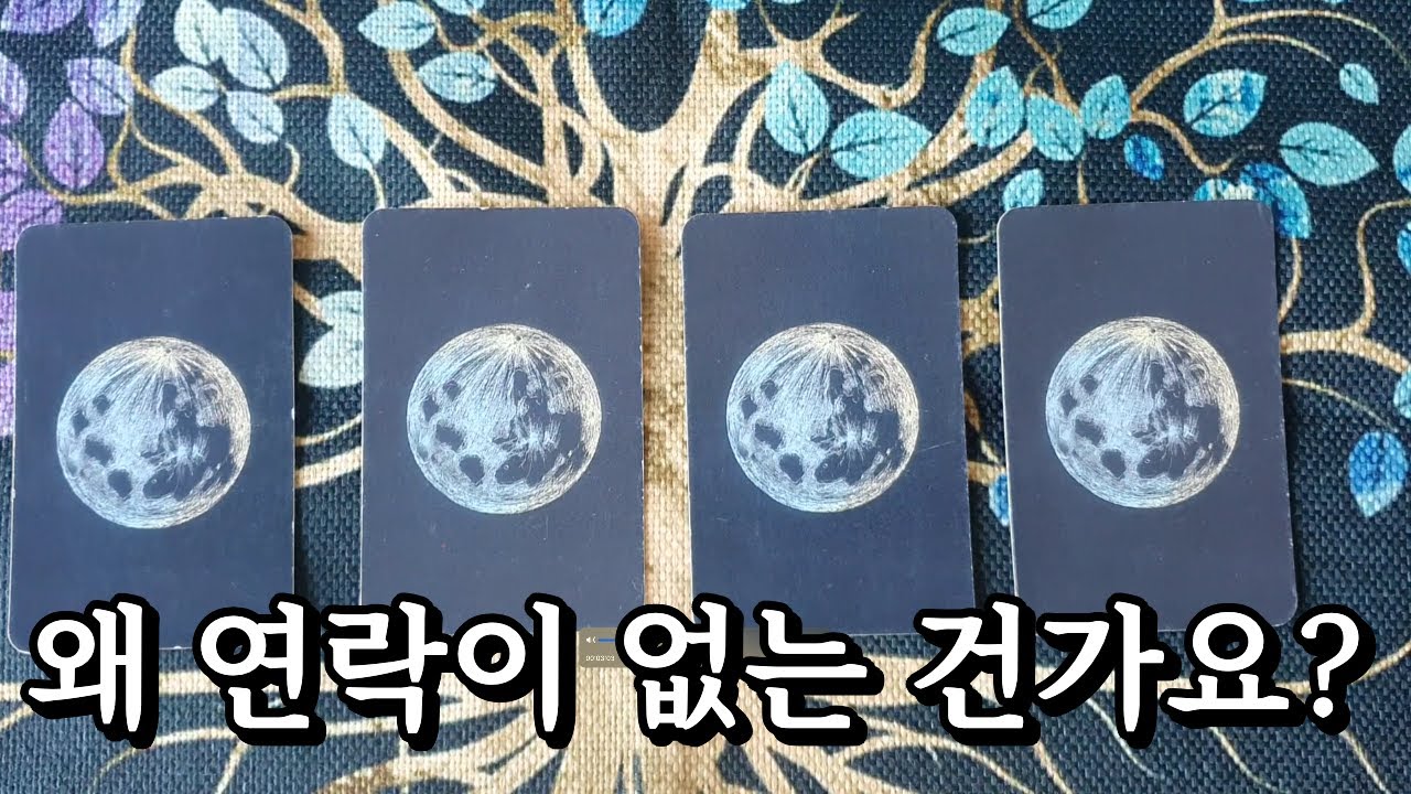 [타로] 연락이 없는 이유, 이거예요.