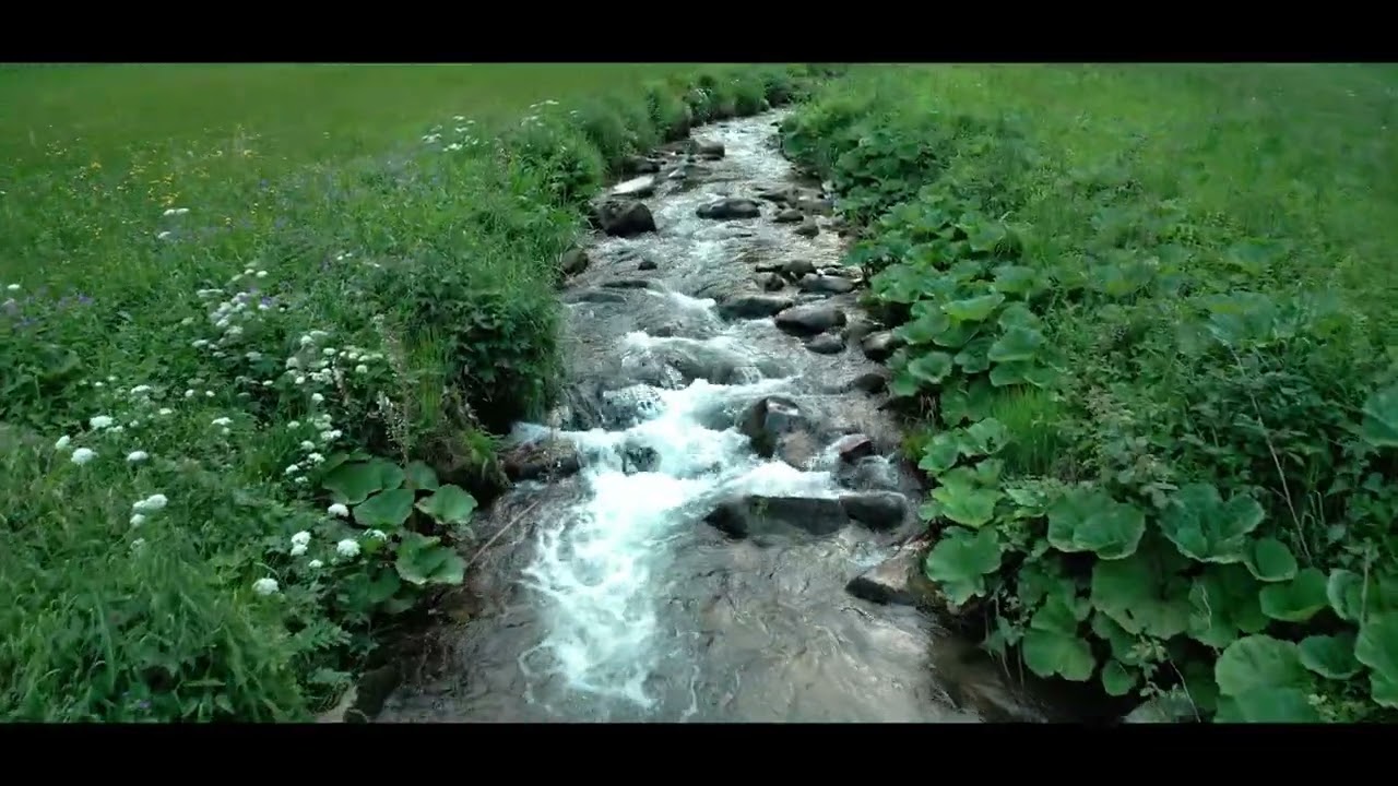 Markgr&auml;fler Vibes