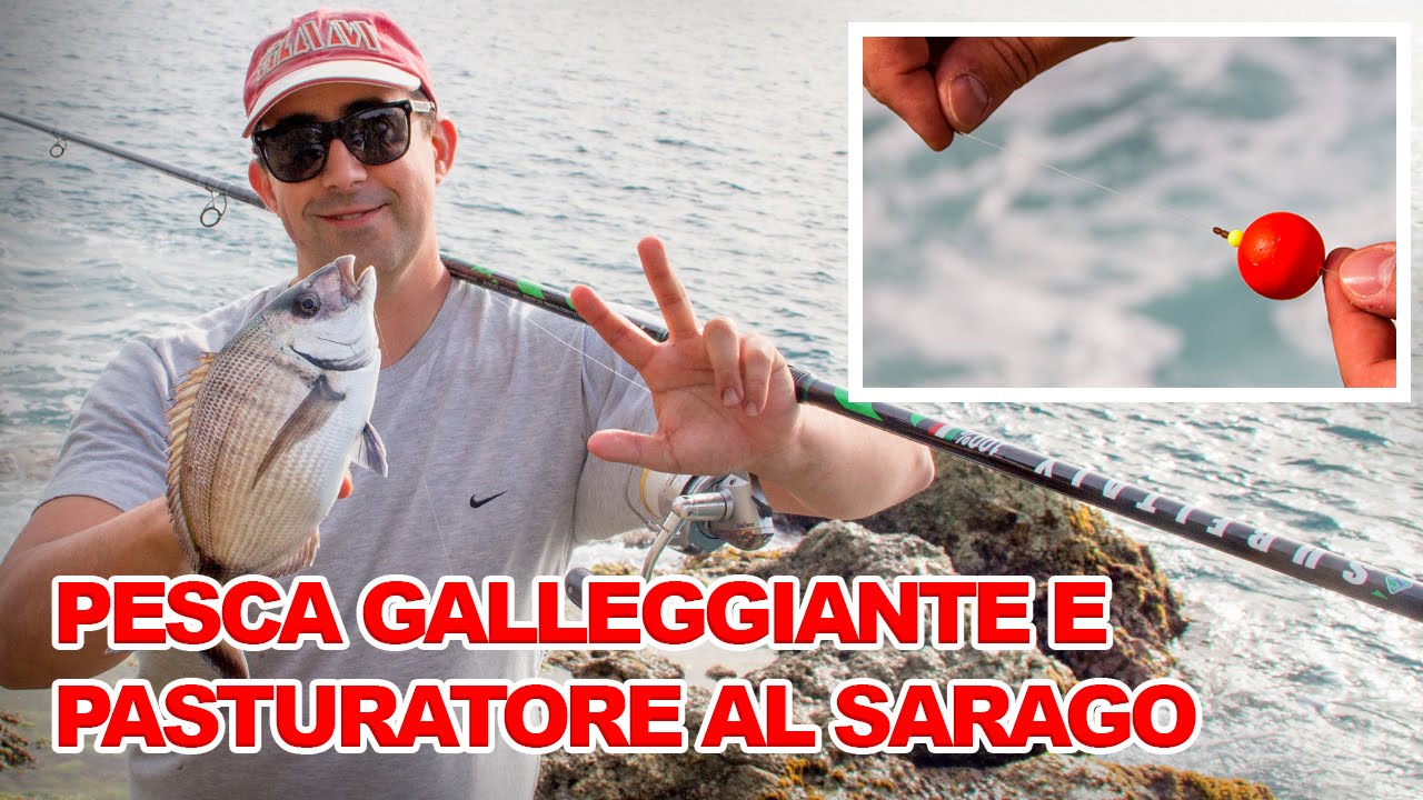 PESCA GALLEGGIANTE E PASTURATORE AL SARAGO
