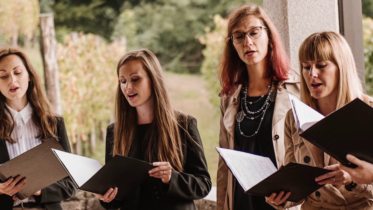 Aleluja, tu sem s tabo (Hallelujah), VS Karina