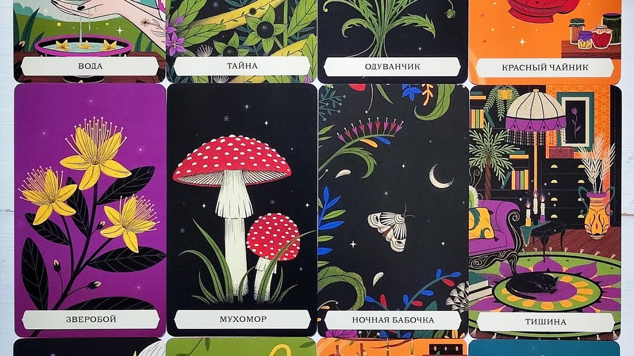 НОВИНКА! Оракул Зелёной Ведьмы + ответы на рандомные вопросы!🌿🌱🌾🍀🪴