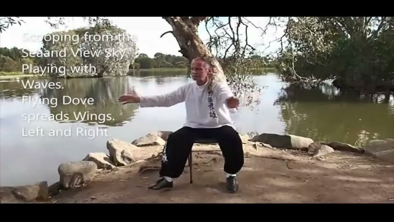 SEATED SHIBASHI Set 1 FOR SENIORS   voice and music mpeg2video