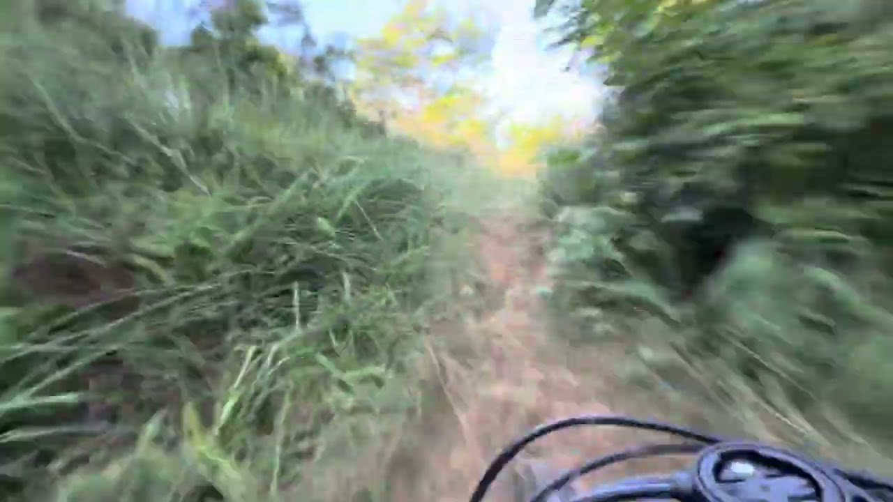 デカい蜘蛛ばっかで行けなかった山のジャンプライン、涼しくなってきて蜘蛛も減ったから久々に行ってきた😆やっぱり楽しい😍