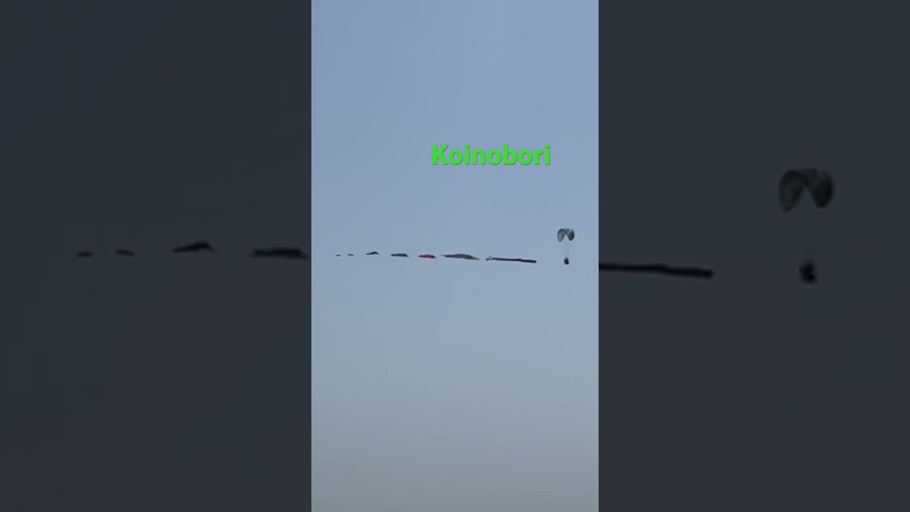 Japanese Flying Fish - Koinobori Shonan Life