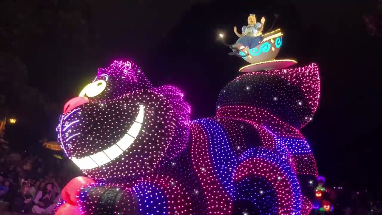 🌙ディズニーランド・エレクトリカルパレード & 花火🎆2025/10/21✨