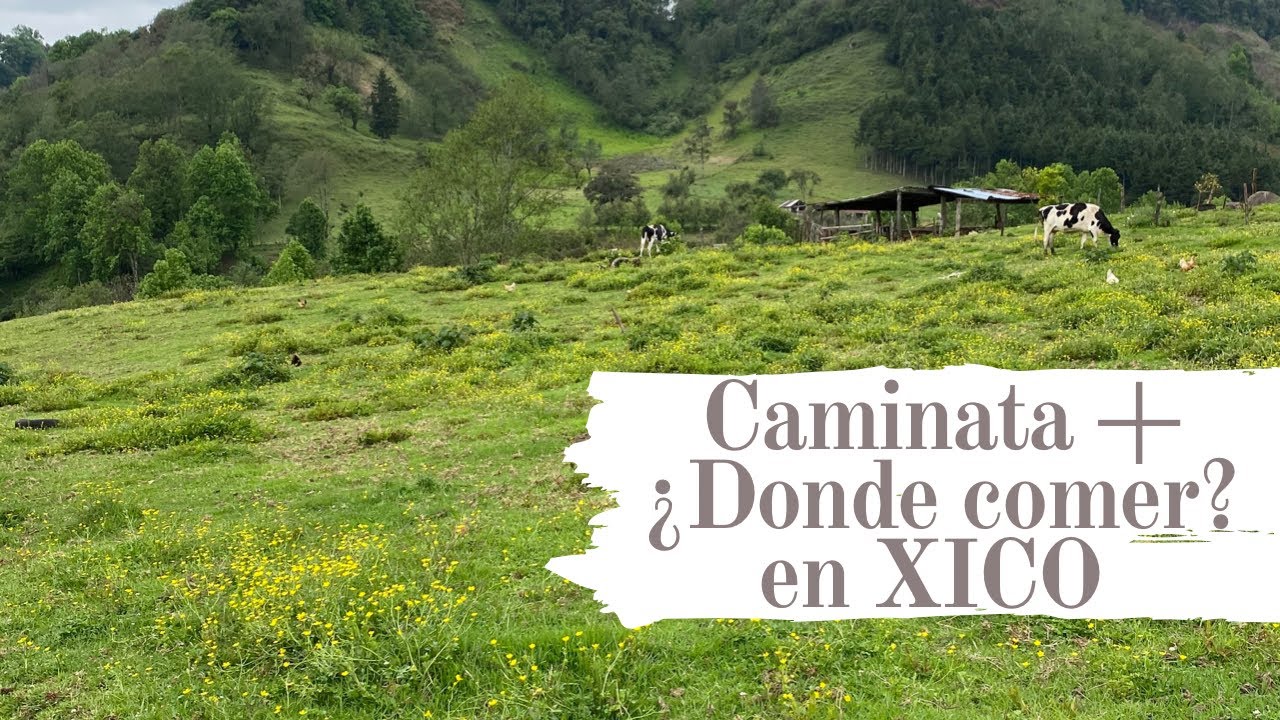 XICO parte 2 CAMINATA + ¿Donde comer ? No son los Alpes suizos es VERACRUZ 🏔
