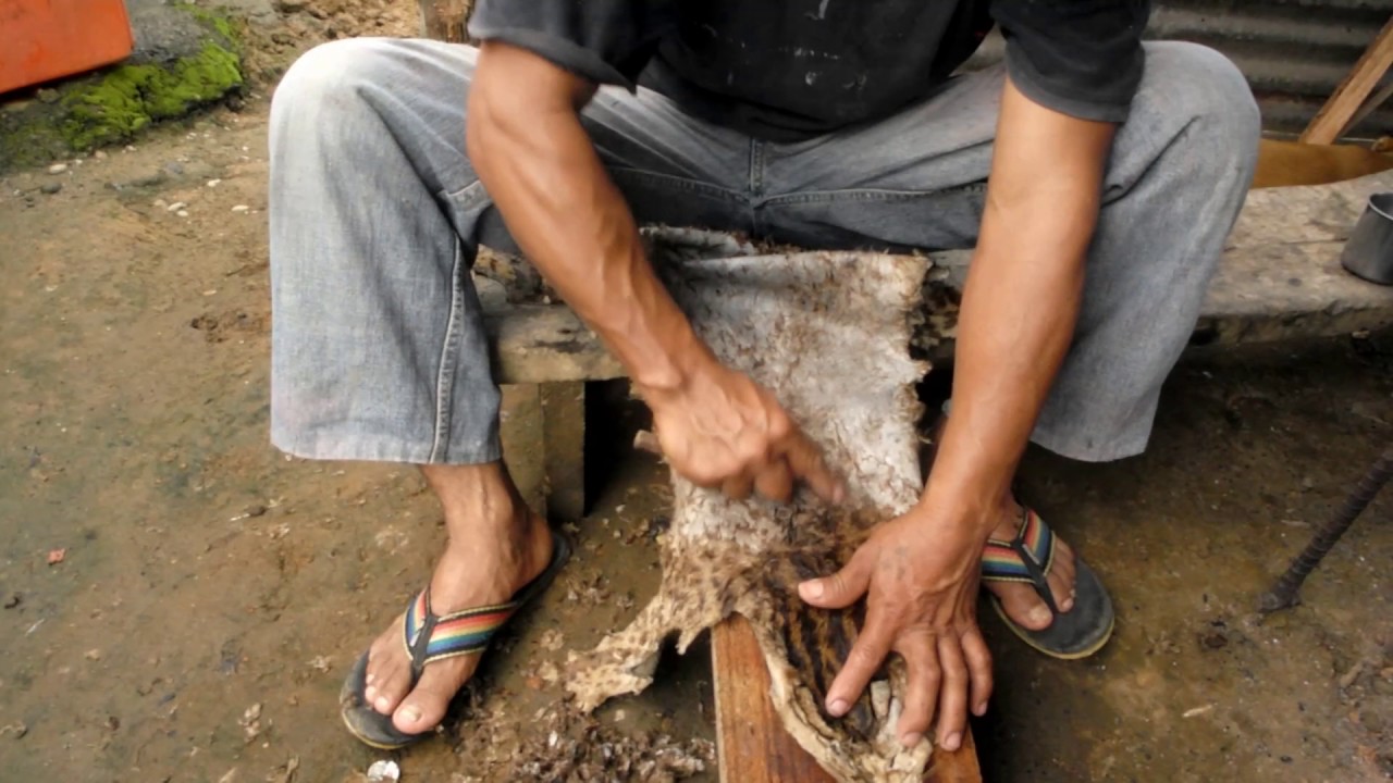 Elaboraci&oacute;n de un tambor ancestral en la Amazon&iacute;a ecuatoriana