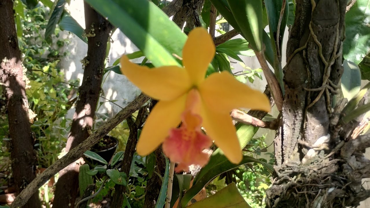Bom dia!