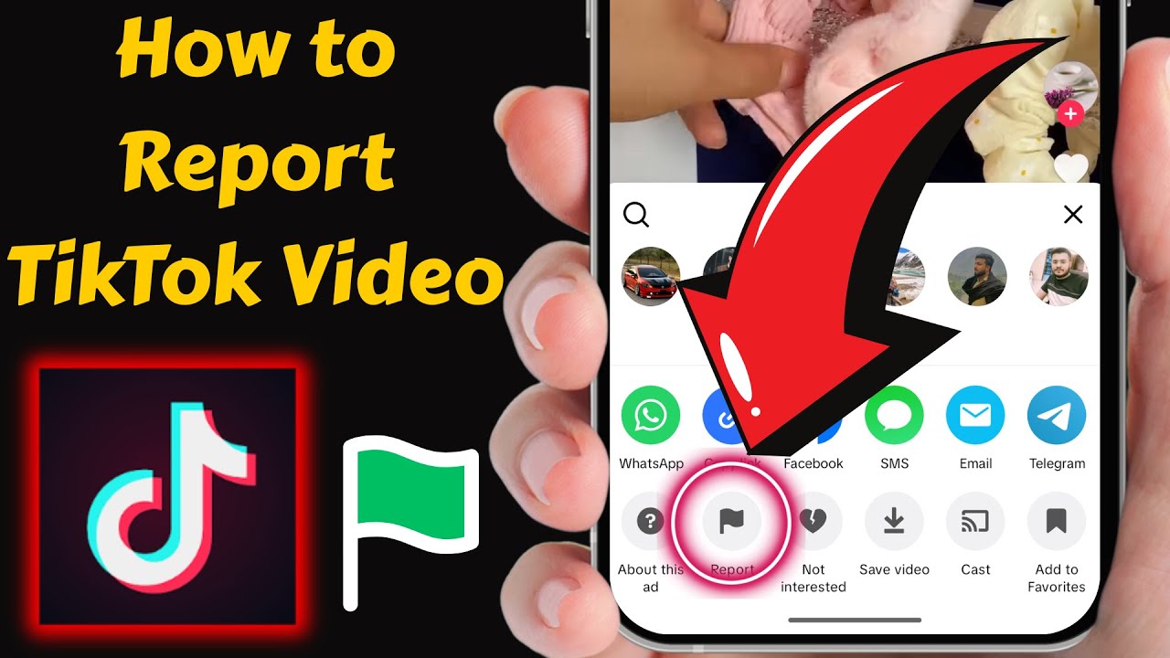 How to Report a TikTok Video | Report Inappropriate TikTok Videos Easily!