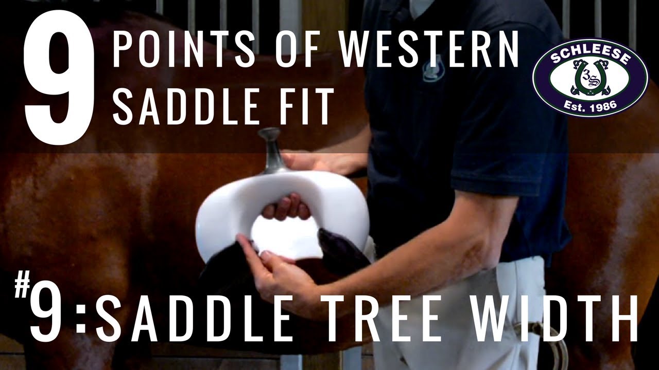Tip #9: Saddle Tree Width - The 9 Points of Western Saddle Fit