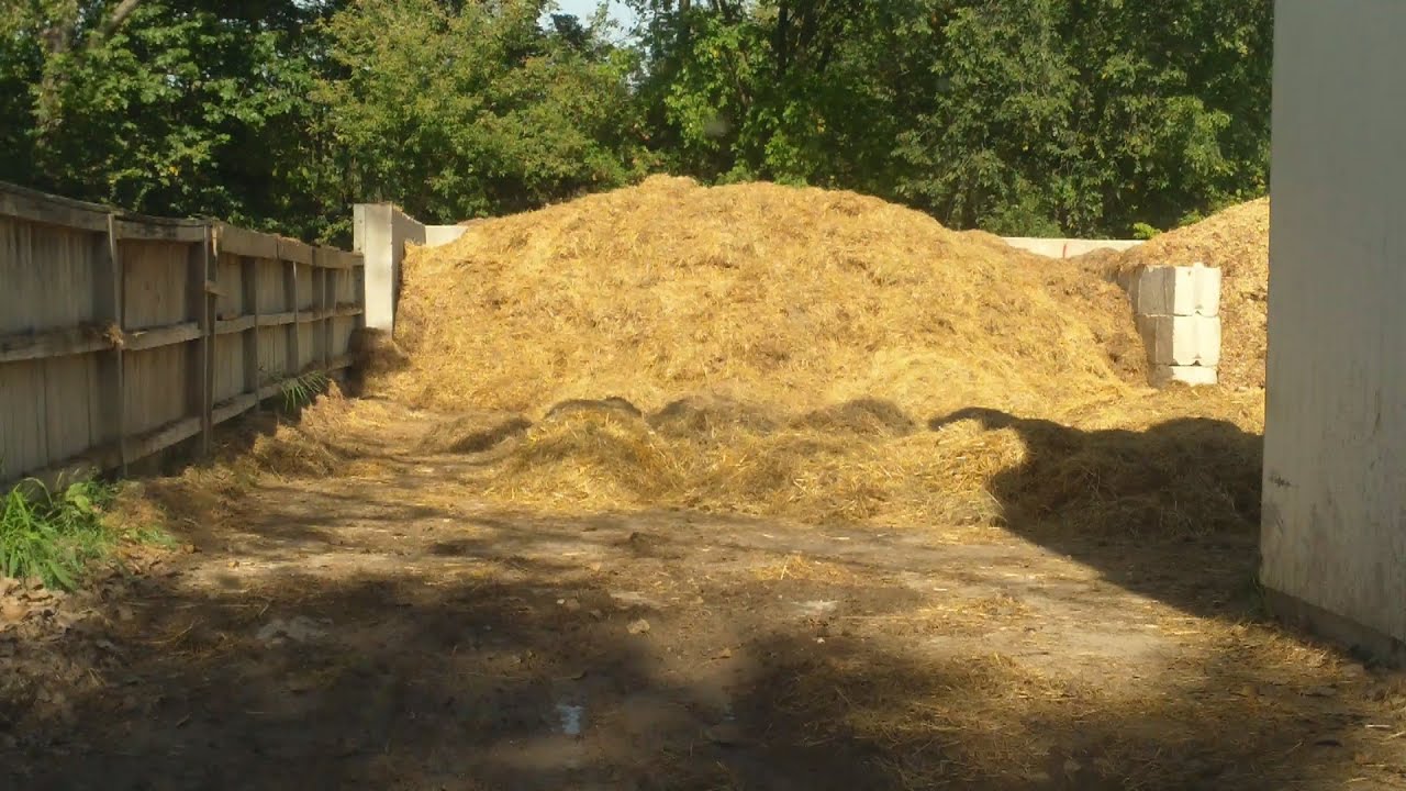 Free Horse Manure & Straw For Our Compost
