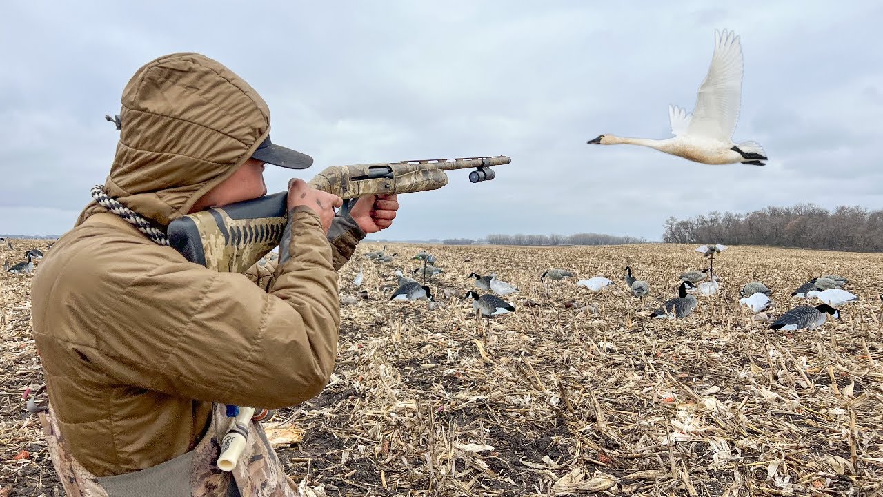 RARE Once in a Lifetime SWAN HUNT! (TROPHY BIRD)