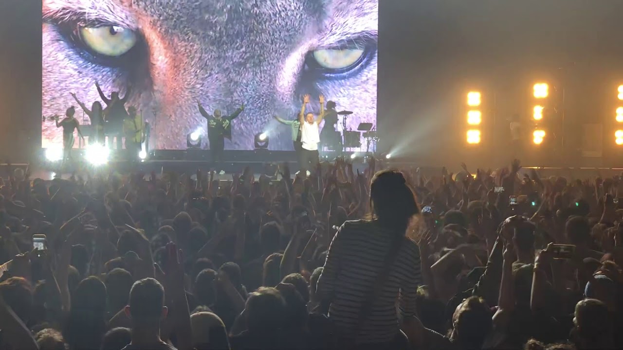 Macklemore - Can't Hold Us (Live)