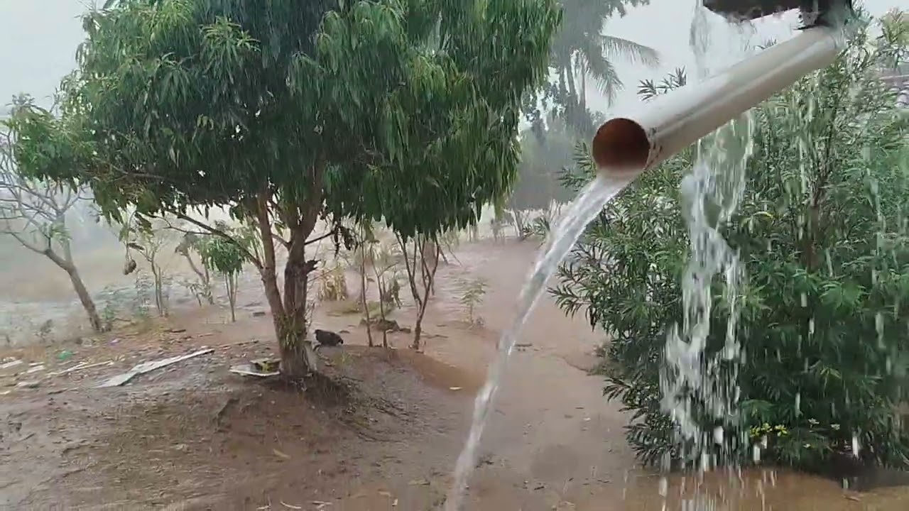 DESSA VEZ ELA VEIO PESADA 