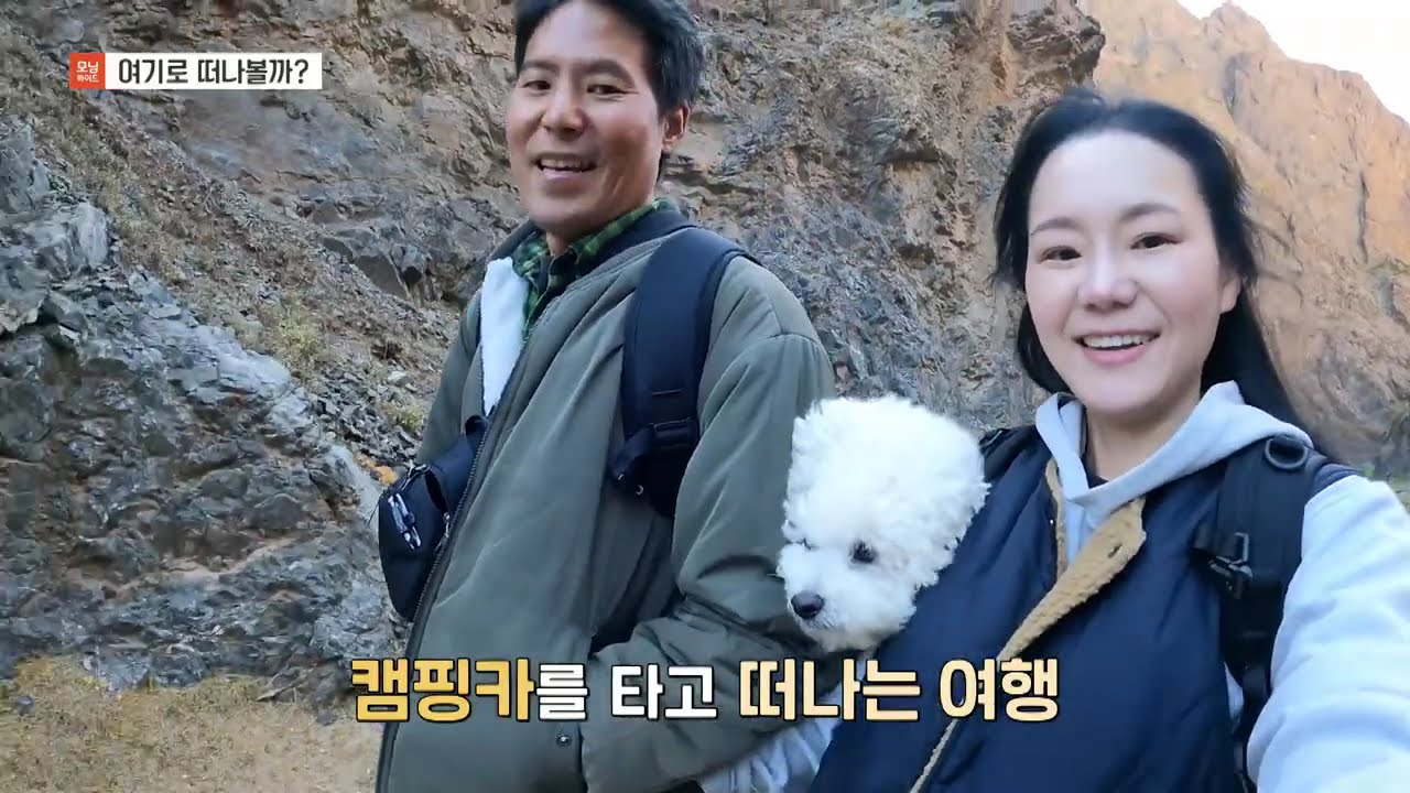 추석에 티비에 나왔어요! 모닝와이드 여기로 떠나볼까 반려견과 떠나는 세계여행 몽골편 애견동반 몽골 여행
