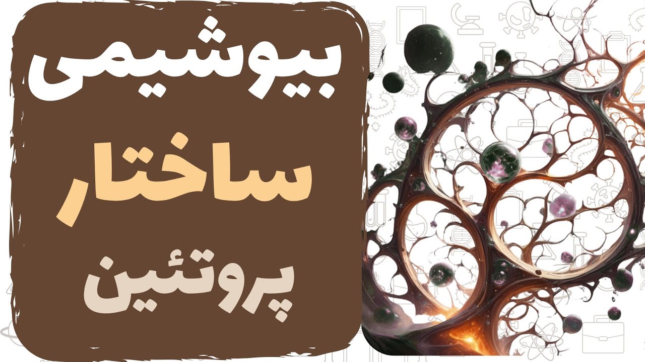 آموزش بیوشیمی ⚗️ساختار پروتئین