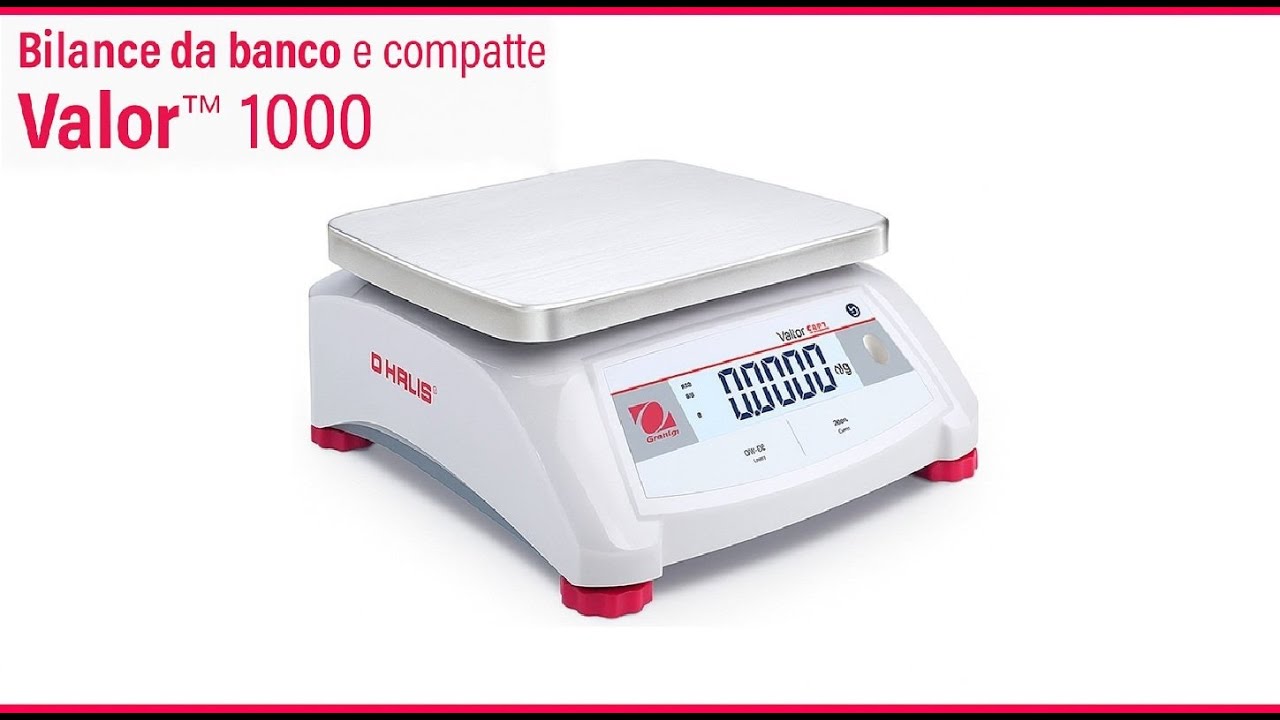 Compact Bench Scale Valor 1000
