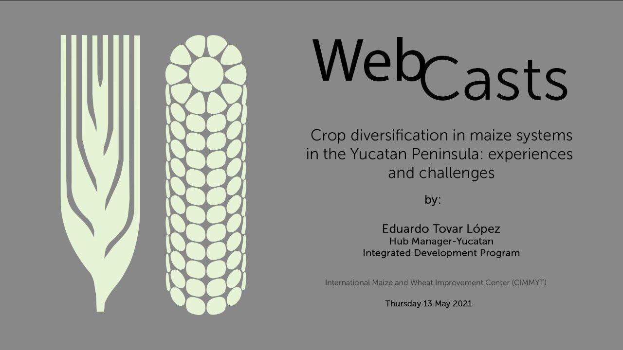 Crop diversification in maize systems in the Yucatan Peninsula: experiences and challenges
