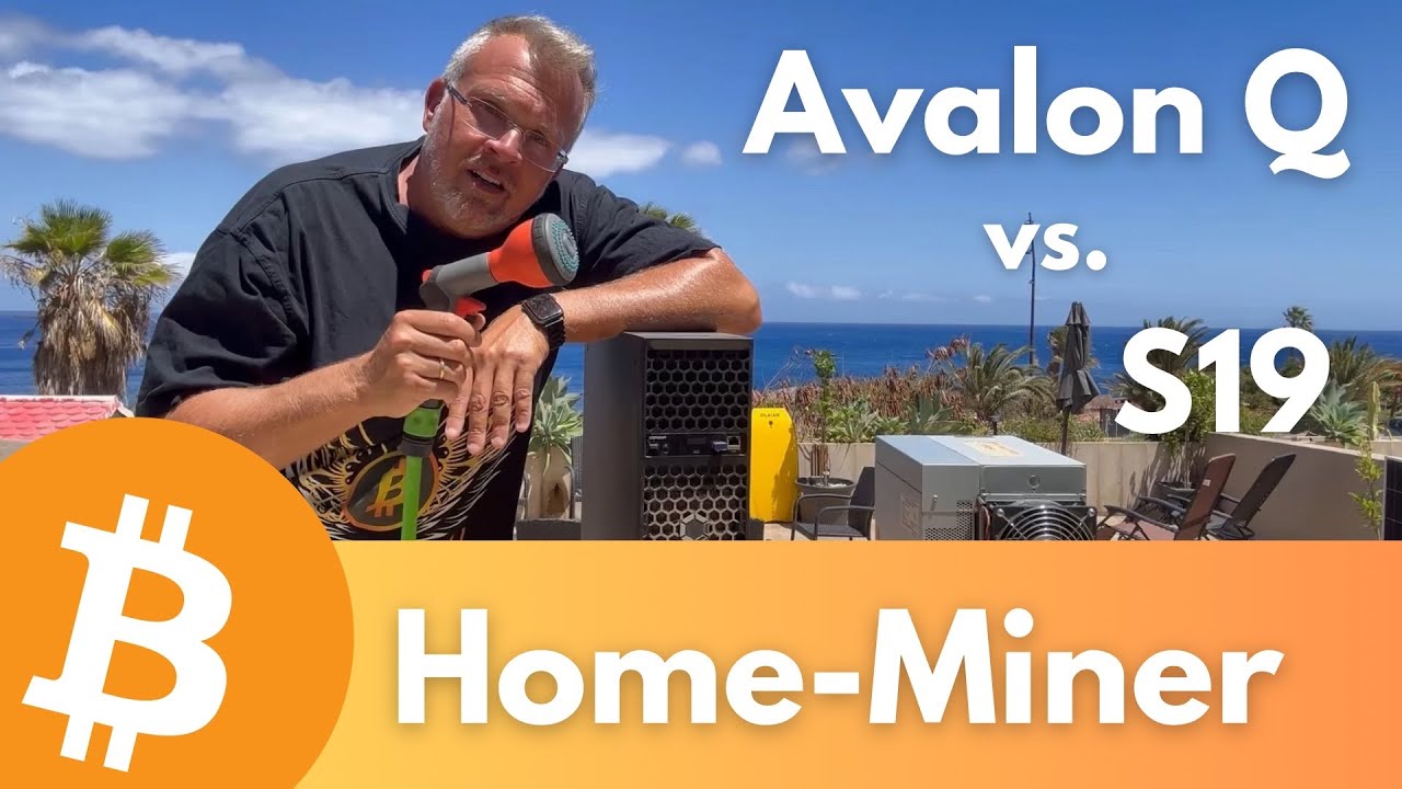 Bitcoin Miner mit Wasser reinigen - der Avalon Q Home-Miner vs Antminer S19