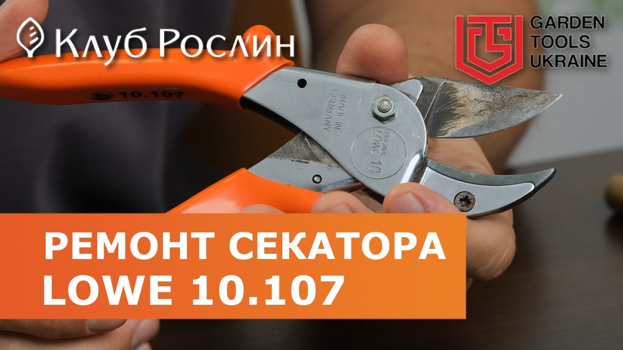 Ремонт секатора LOWE 10.107 после обрезки 25000 кустов голубики