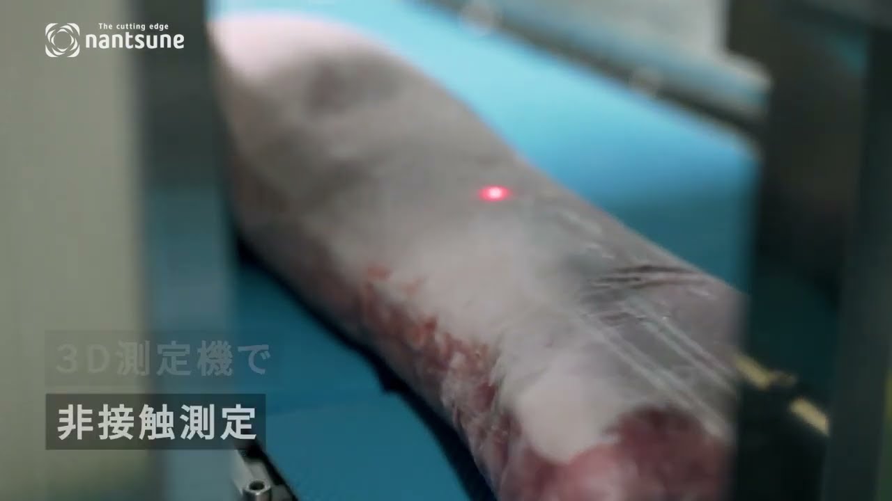 3D冷凍肉定量定重切片機 切肉機 NTD 165F LIBRA 165F/日上食品機械有限公司