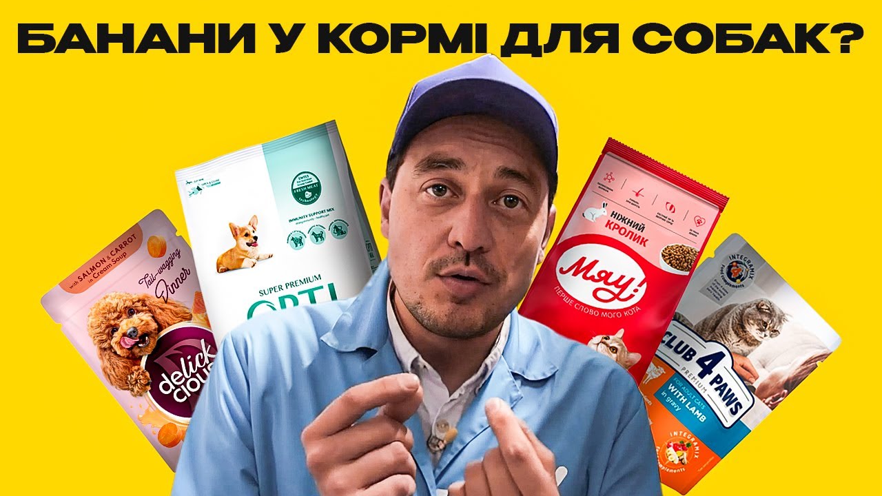 😱 КРАЩЕ, НІЖ ЇЖА ДЛЯ ЛЮДЕЙ: як створюють преміум-корм для тварин | 482. Зроблено в Україні