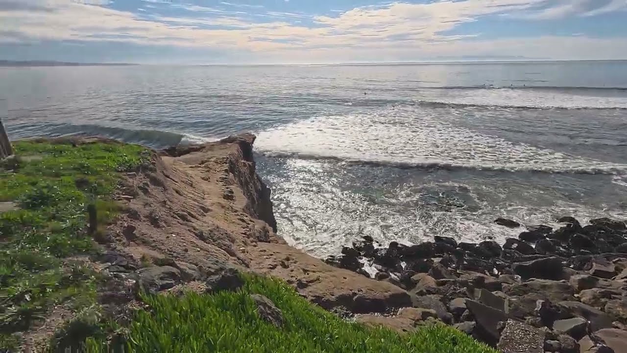Steamers Santa Cruz Penguin Sighting