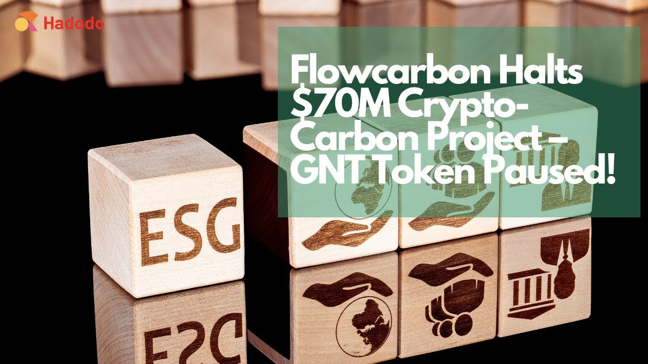 Flowcarbon Pauses GNT Token Launch &ndash; $70M Carbon-Crypto Project on Hold!