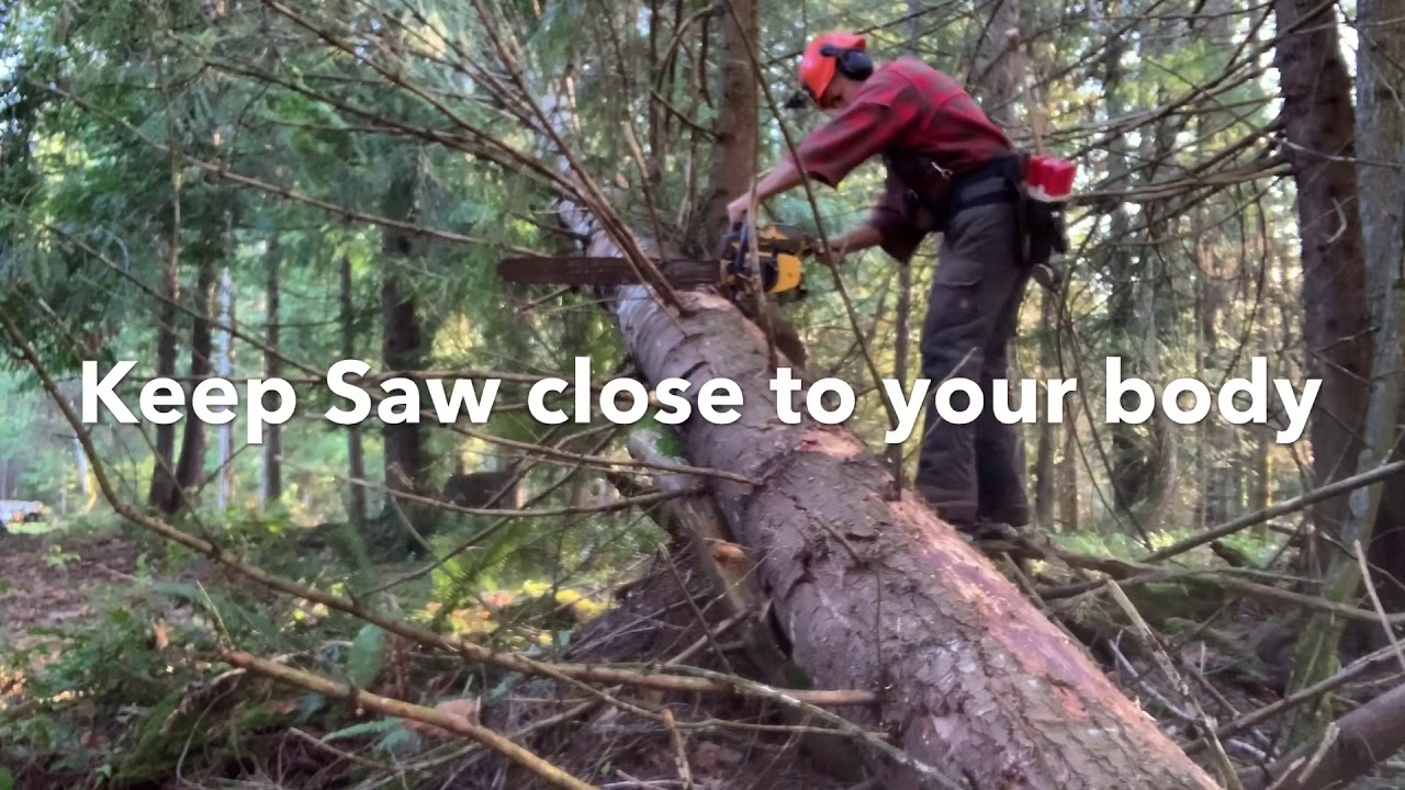 Problem trees, a man and his vintage chainsaws