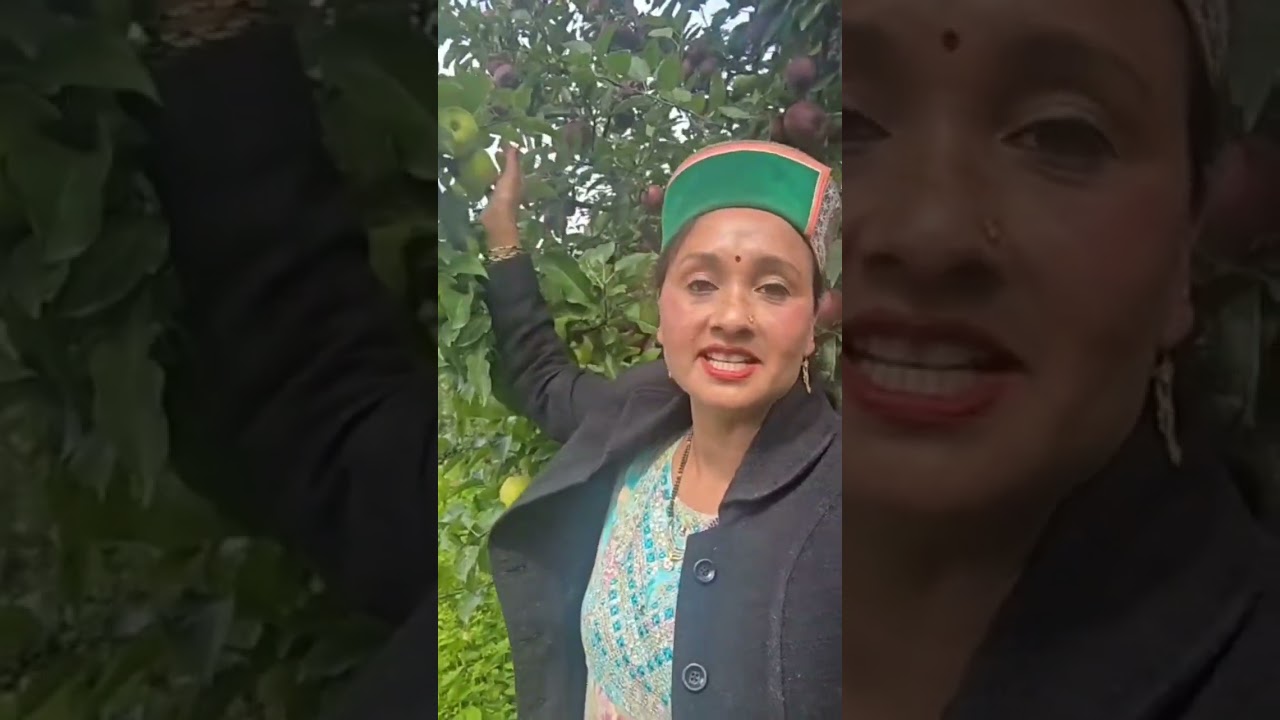 sangla valley  ka 2025  apple 🍎 season #sangla