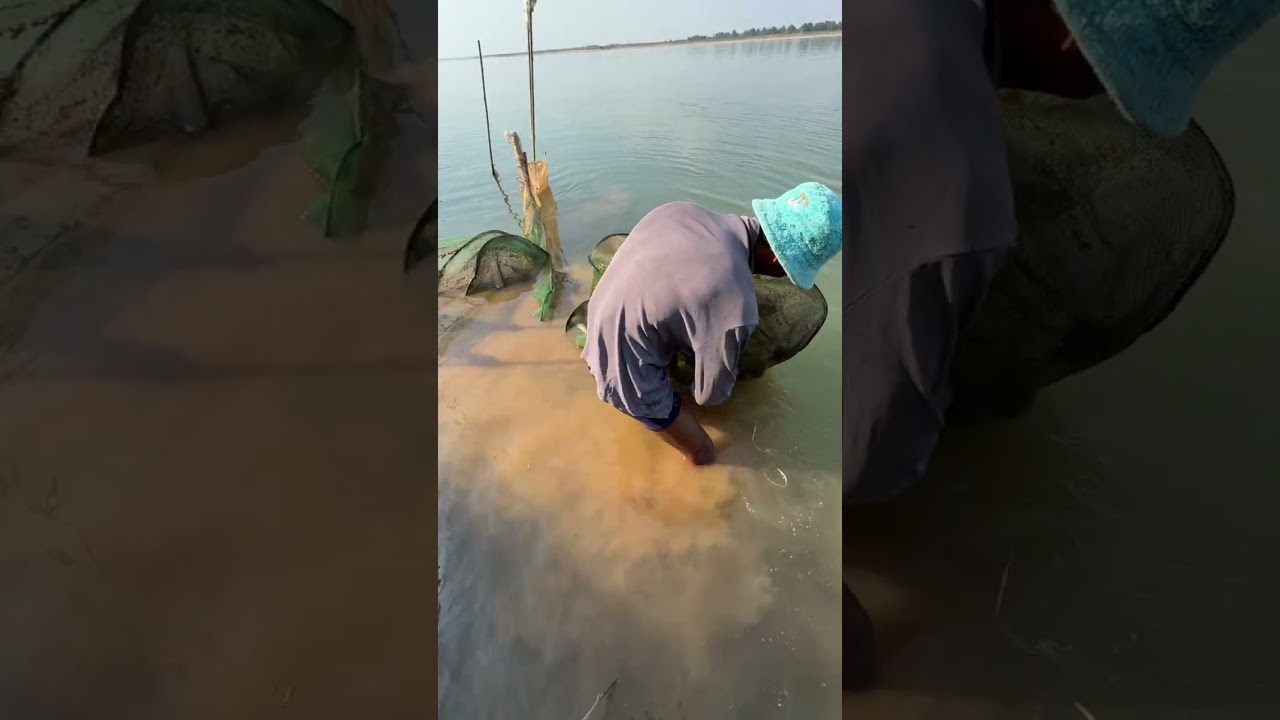 លើកដៃយកកំពឹសនឹងកូនត្រី បិតសន្ទូចយកត្រីប្រម៉ាឈ្មោលដែរមានតម្លៃថ្លៃ