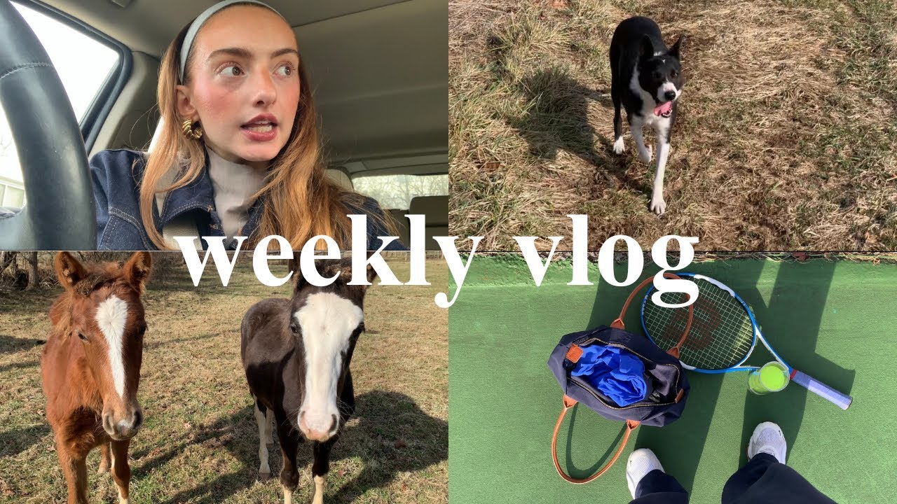 Weekly Vlog in the Virginia Mountains: Morning, Groceries, Days at the Farm and Chit Chats