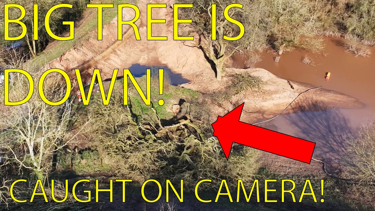 Whitchurch Canal Breach Update, Large Tree Cut Down + Track Works! With Commentary (4thMar)