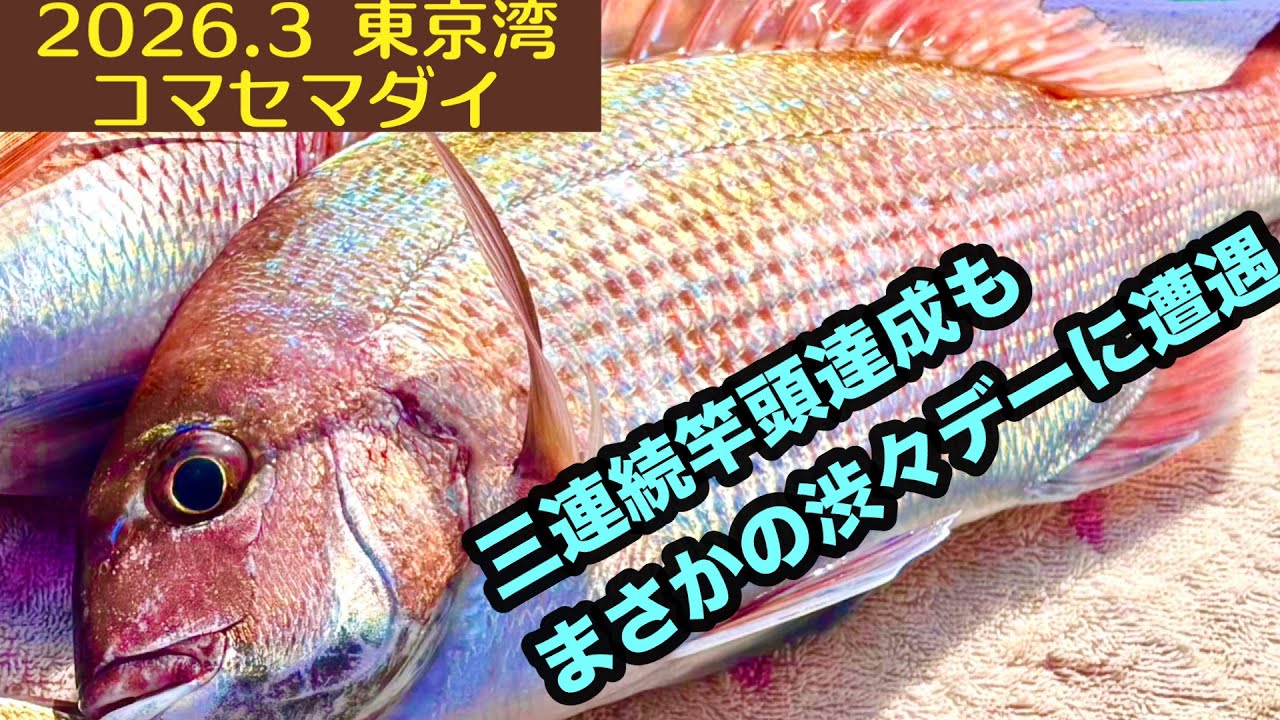 【2026.3】東京湾コマセマダイ！渋々デー&トラブルだらけの日を乗り越える！