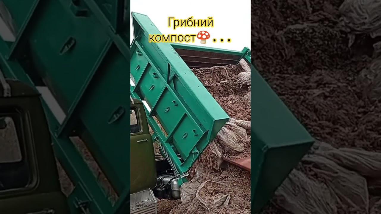 Вивантаження грибного компосту для підживлення грунту)))