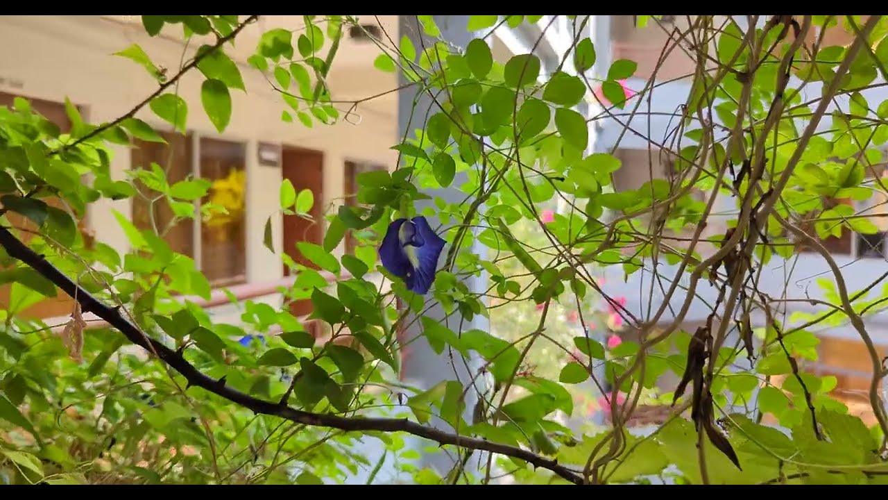 Department of English || Jashore University of Science and Technology