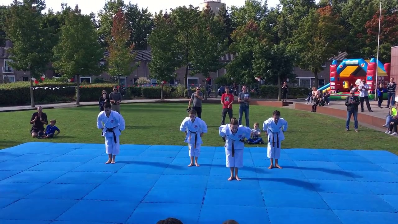 Demo en Bunkai Kata Kanku sho
